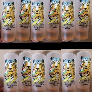 12pk Tall Shot Glasses TIGERS NEW